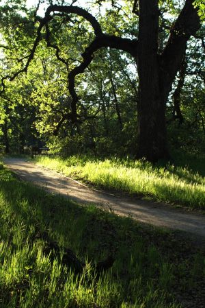 Nature WS - 17.jpg